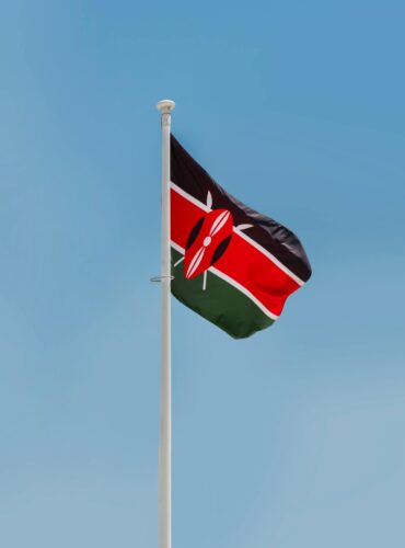 pexels-aboodi-13980487